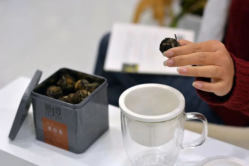 关于重新定义“一杯好白茶”,普洱正在这样做!的消息(5)