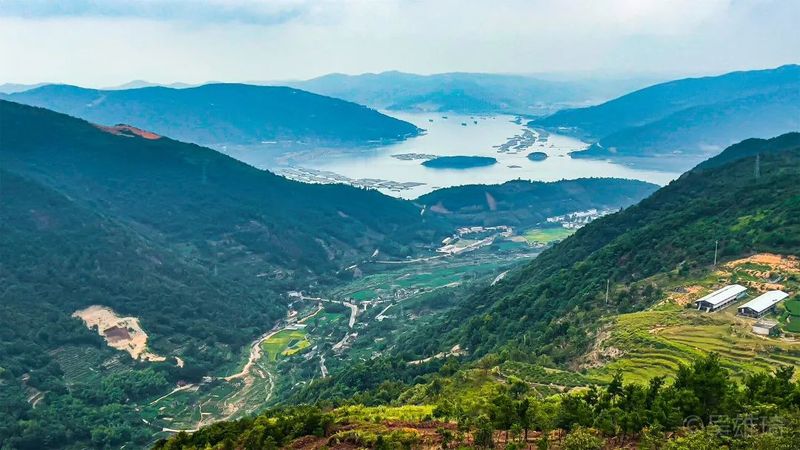 关于福鼎市茶文化研究会成功举办2022年第七期“茶文旅融合”主题读书会!的最新消息