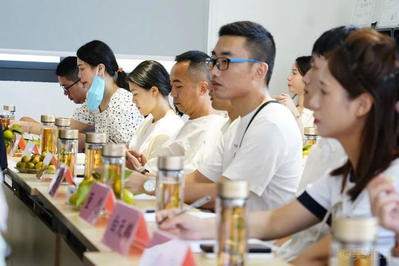 关于福鼎市茶文化研究会成功举办2022年第七期“茶文旅融合”主题读书会！的最新消息(31)