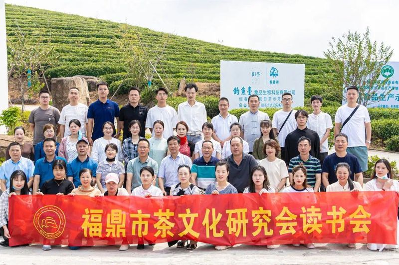 关于福鼎市茶文化研究会成功举办2022年第七期“茶文旅融合”主题读书会！的最新消息(36)