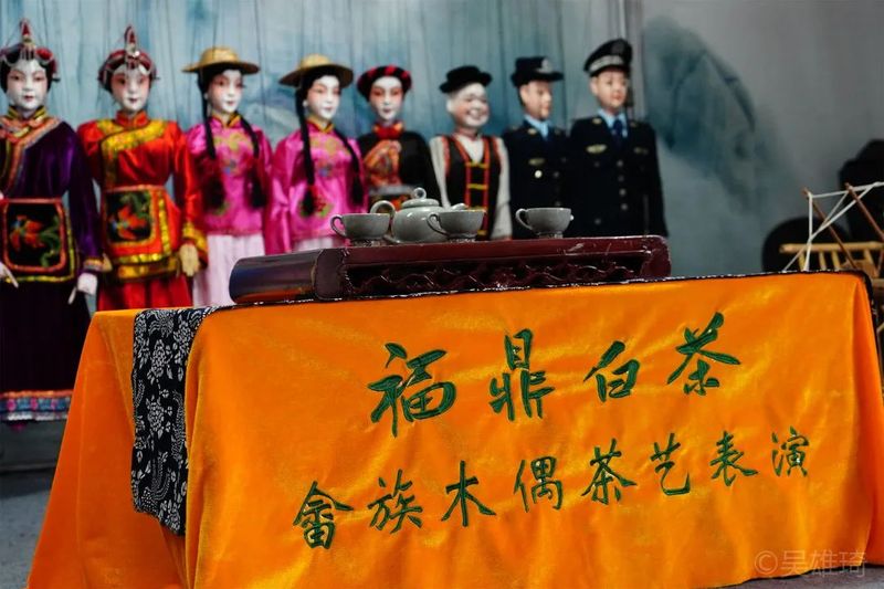 关于福鼎市茶文化研究会成功举办2022年第七期“茶文旅融合”主题读书会！的最新消息(20)