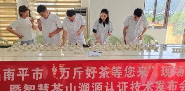 关于助推平价茶,南平寻找“三茶”统筹发展的新实践的消息