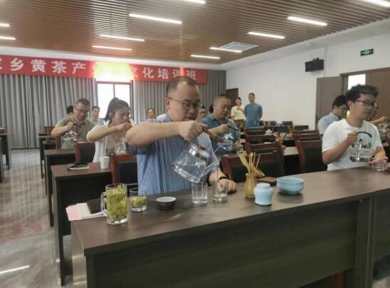 有关于龙游县罗家乡举办黄茶产业文化培活动的内容