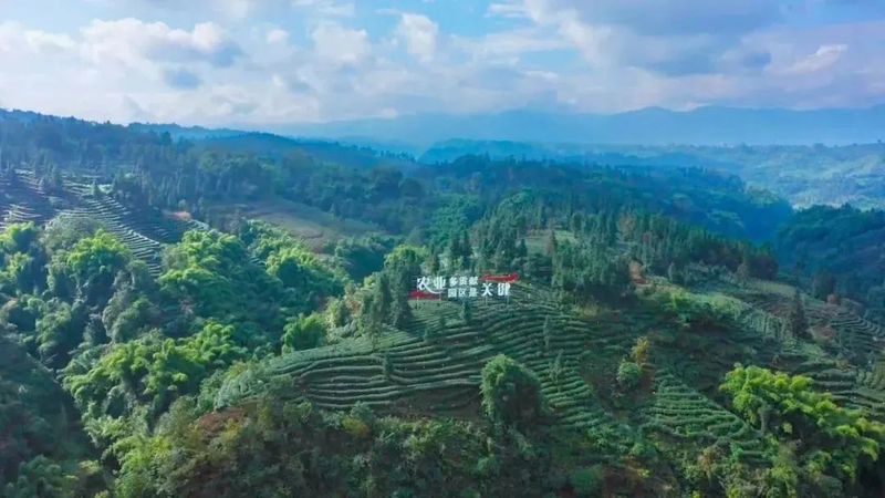 关于“非遗+旅游”推动文旅融合发展 “川藏茶马古道历史遗产调查及文旅融合产业创新”项目启动仪式在雅安市举办的内容