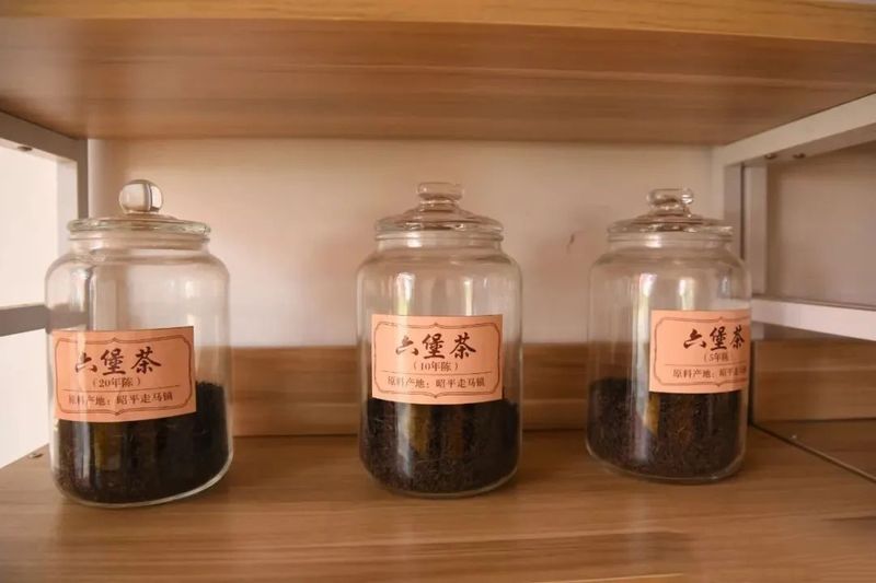 关于大力发展六堡茶产业，全力打响昭平“一片叶子”品牌的新闻(3)