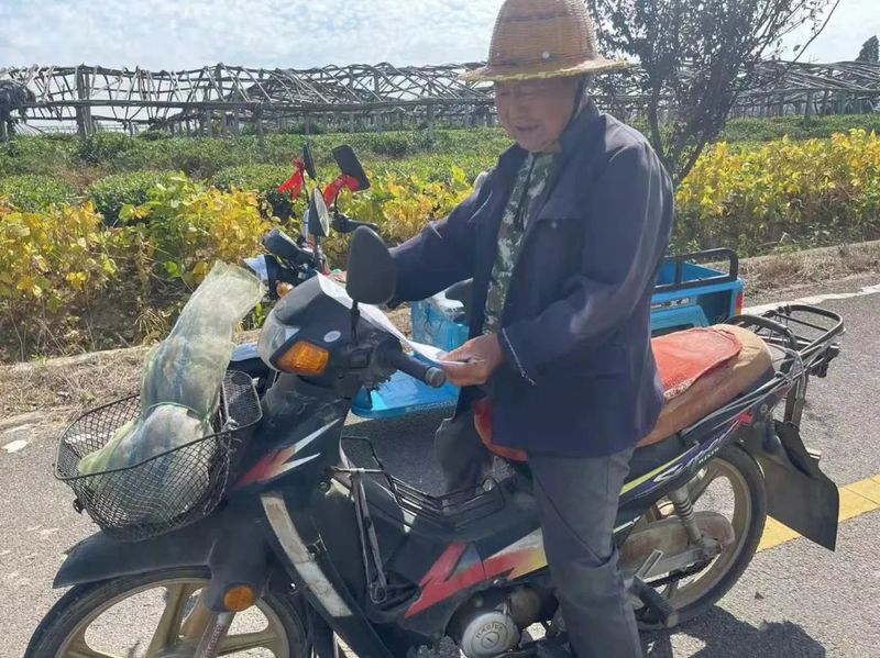 有关于后村镇：茶园虫害这样防治，靠谱！的新闻(6)