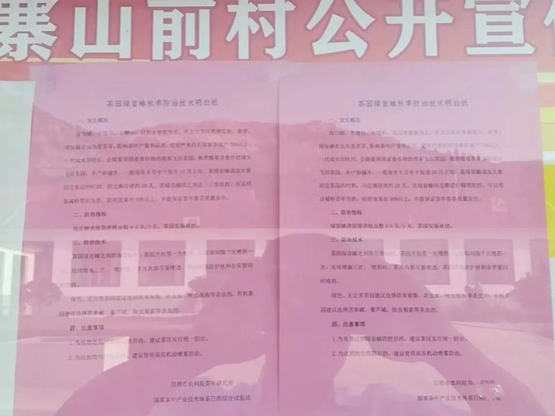 有关于后村镇：茶园虫害这样防治，靠谱！的新闻(3)