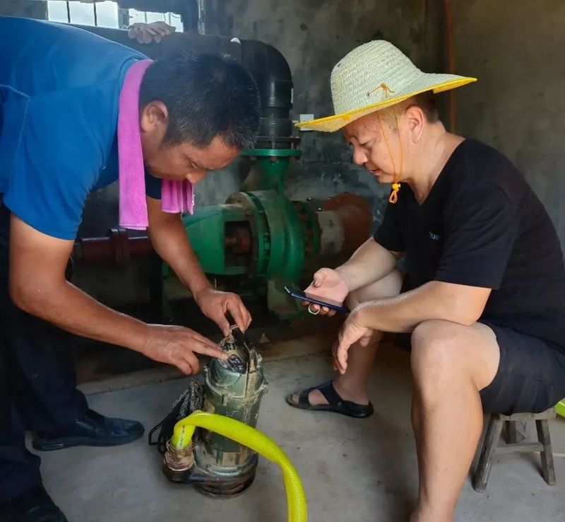 有关于茶陵县：抗高温、战酷暑、保茶园！的内容(5)
