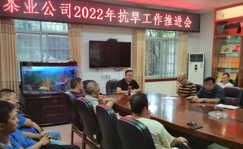有关于茶陵县：抗高温、战酷暑、保茶园！的内容(3)