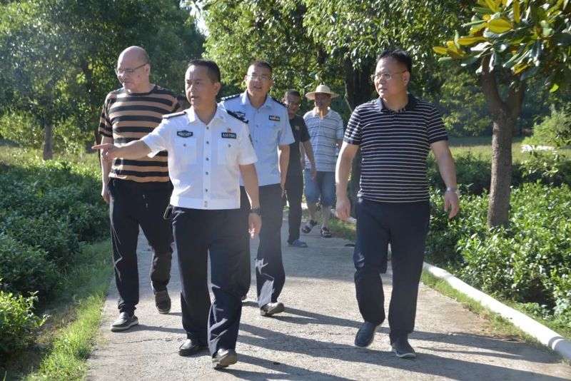 有关于茶陵县：抗高温、战酷暑、保茶园！的内容(2)