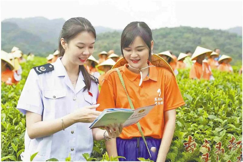 关于高水平建设大湾区“茶罐子”的内容