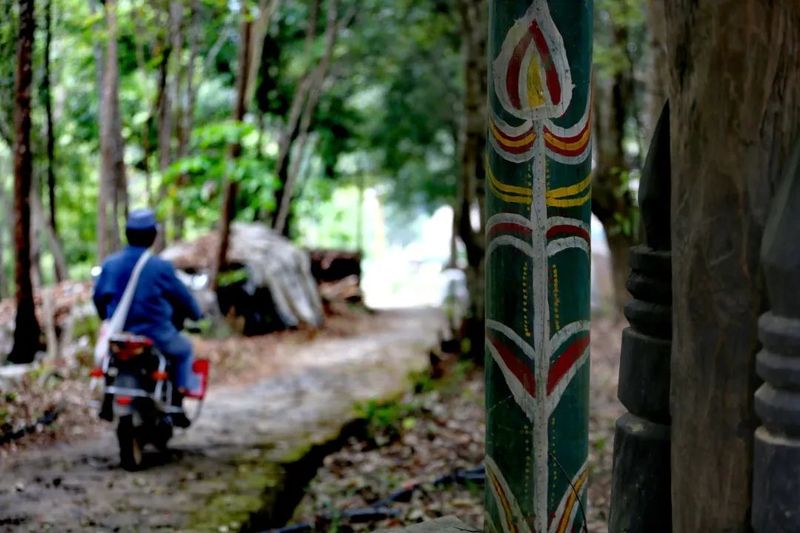有关于景迈山行：每一次相逢和遇见都带着茶香的信息