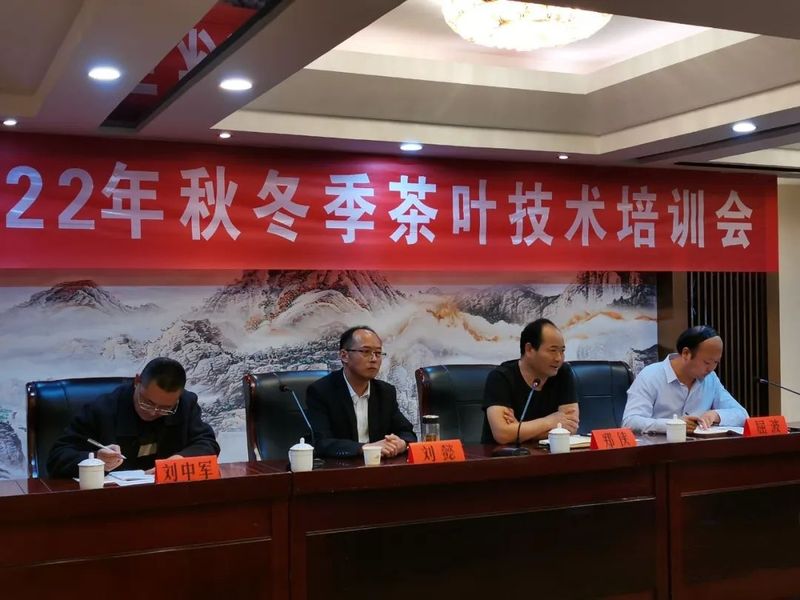 关于宁强县茶叶中心扎实开展2022年秋冬季茶叶技术培训活动的资讯