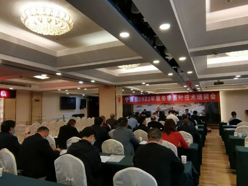 关于宁强县茶叶中心扎实开展2022年秋冬季茶叶技术培训活动的资讯(1)