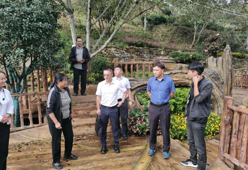 有关于中国农业国际合作促进会茶产业分会一行赴云南省凤庆县调研的相关信息(3)