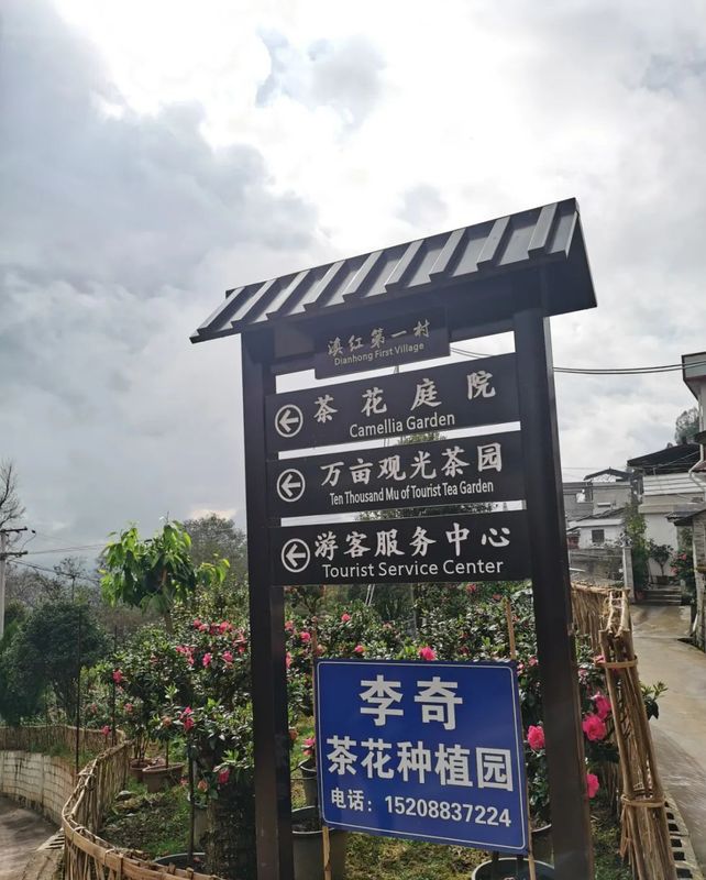 有关于中国农业国际合作促进会茶产业分会一行赴云南省凤庆县调研的相关信息(5)