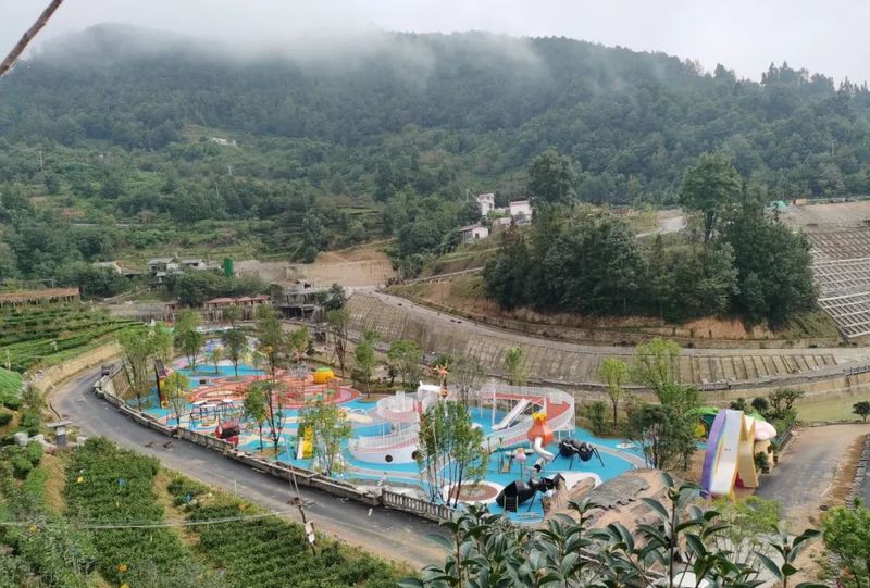 有关于中国农业国际合作促进会茶产业分会一行赴云南省凤庆县调研的相关信息(4)