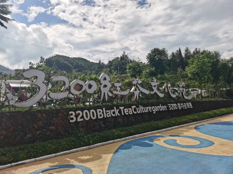 有关于中国农业国际合作促进会茶产业分会一行赴云南省凤庆县调研的相关信息(12)