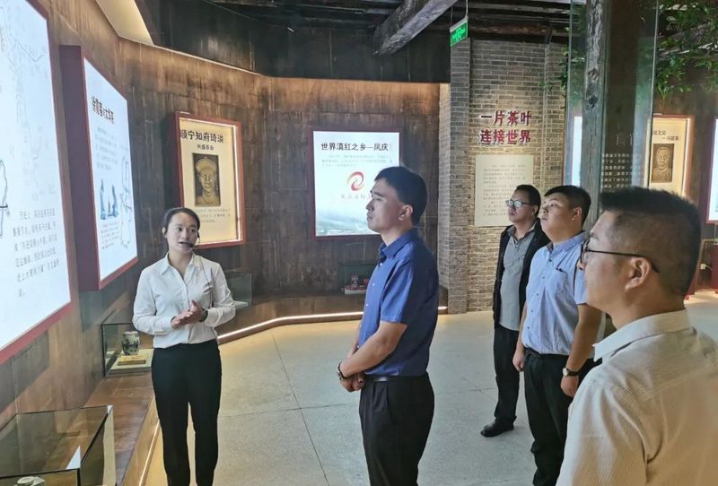 有关于中国农业国际合作促进会茶产业分会一行赴云南省凤庆县调研的相关信息(7)