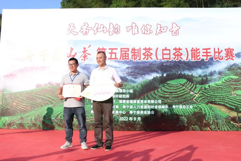 关于秉承匠心制好茶，寿宁这场制茶能手赛获奖者揭晓！的消息(6)