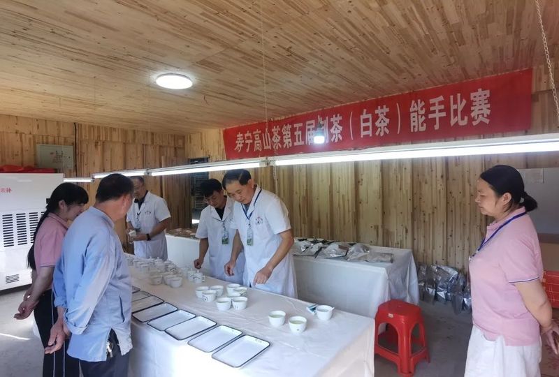 关于秉承匠心制好茶，寿宁这场制茶能手赛获奖者揭晓！的消息(2)