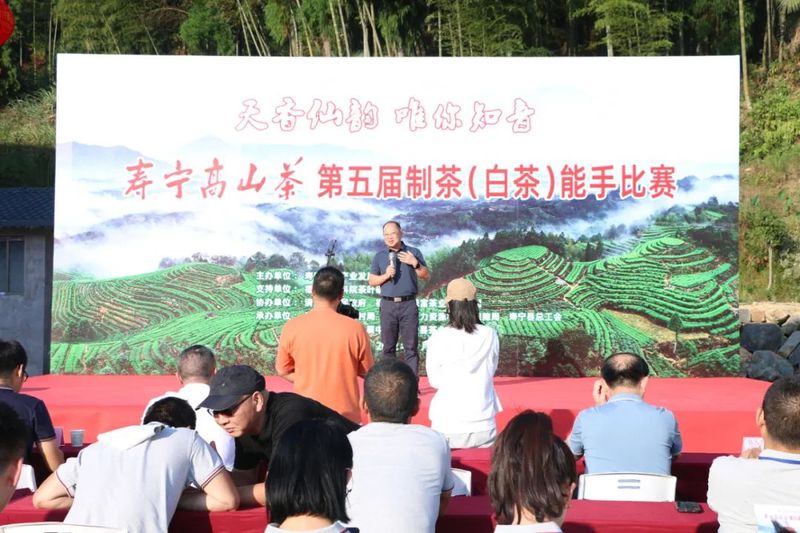 关于秉承匠心制好茶，寿宁这场制茶能手赛获奖者揭晓！的消息(4)