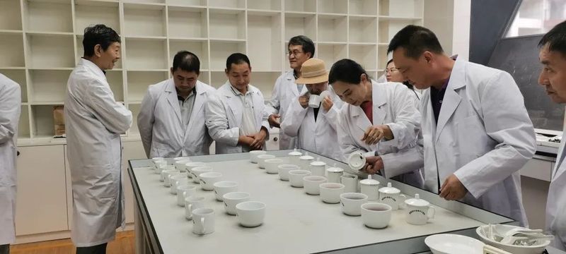 关于普洱市低氟普洱茶产业联合会召开座谈会的信息(1)