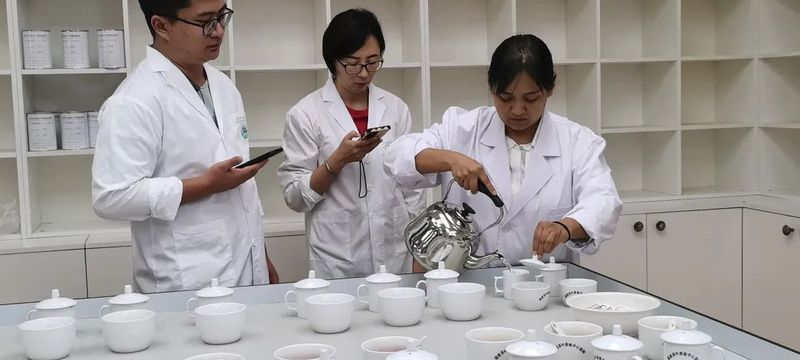 关于普洱市低氟普洱茶产业联合会召开座谈会的信息(2)