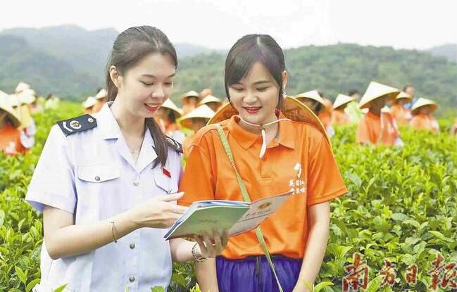 有关于高水平建设大湾区“茶罐子”的信息