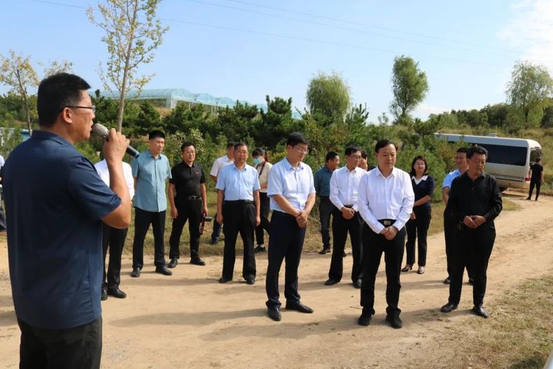 有关于日照市东港：区政协专题调研全区茶叶产业高质量发展工作的内容(1)