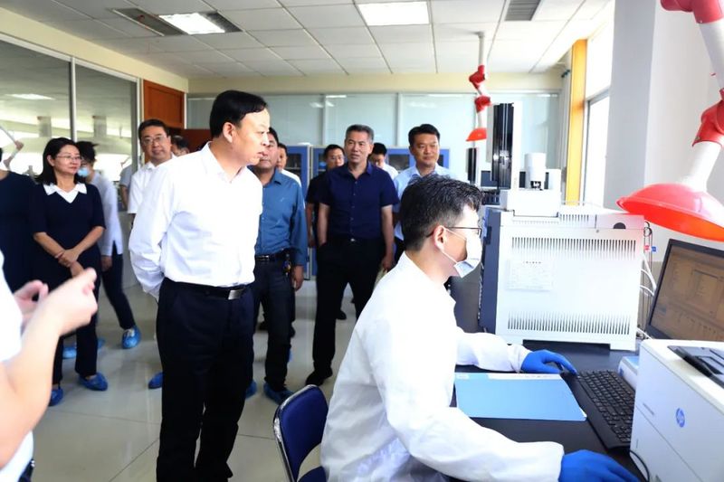 有关于日照市东港：区政协专题调研全区茶叶产业高质量发展工作的内容(4)