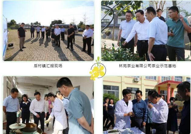 有关于日照市东港：区政协专题调研全区茶叶产业高质量发展工作的内容