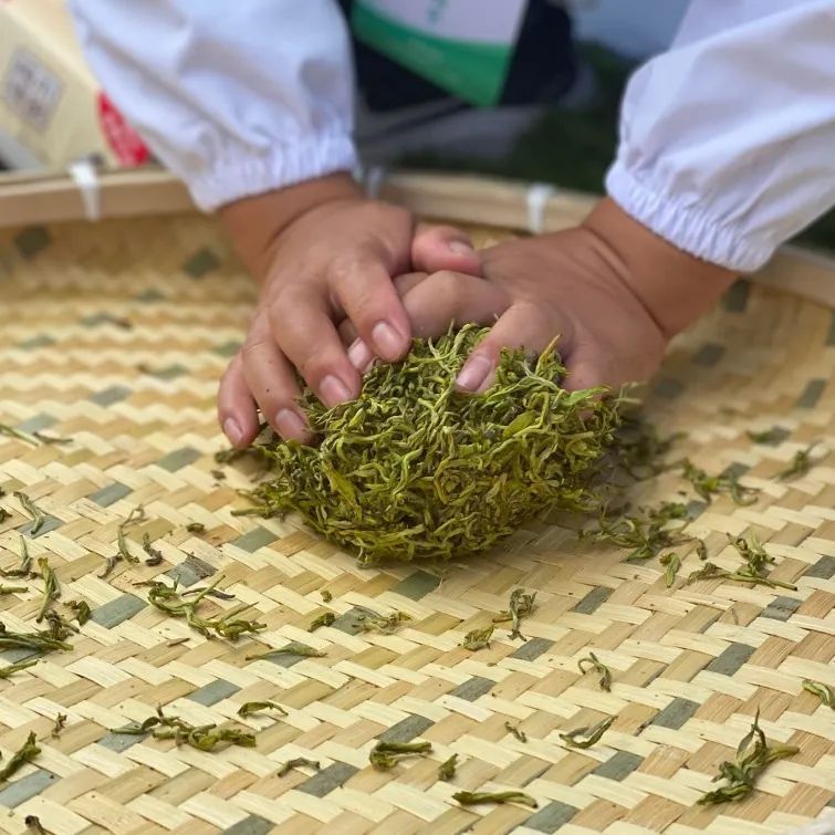 关于庆祝丰收节 茶区更精彩！的内容(2)