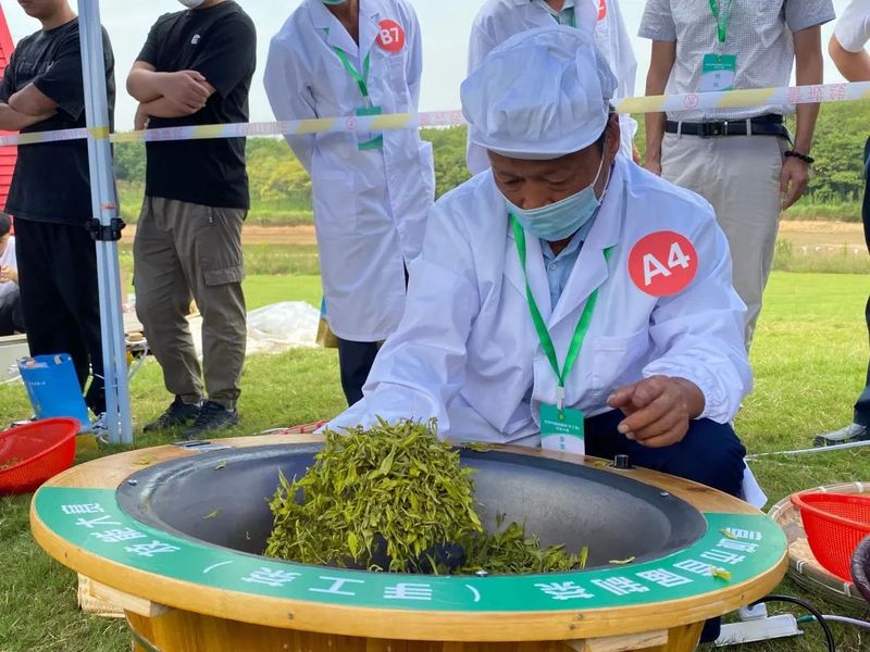 关于庆祝丰收节 茶区更精彩！的内容(1)