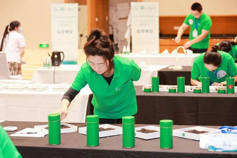 关于2022年江苏省首届评茶员职业技能大赛圆满结束的新闻(6)