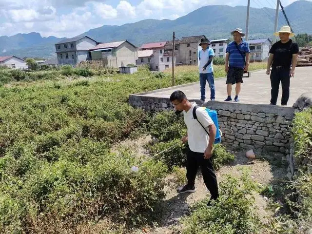 关于“湖南茶产业发展条例”“蒙顶山茶十年”“中华茶奥会闭幕”的相关信息(4)