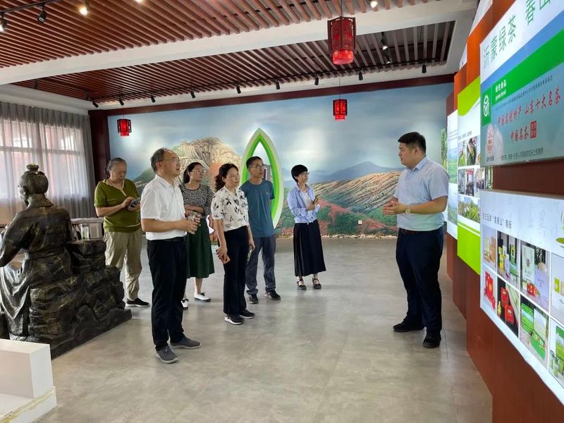 有关于民革临沂市兰山支部开展“推动茶产业提质增效 助力乡村共同富裕”调研活动的信息(1)