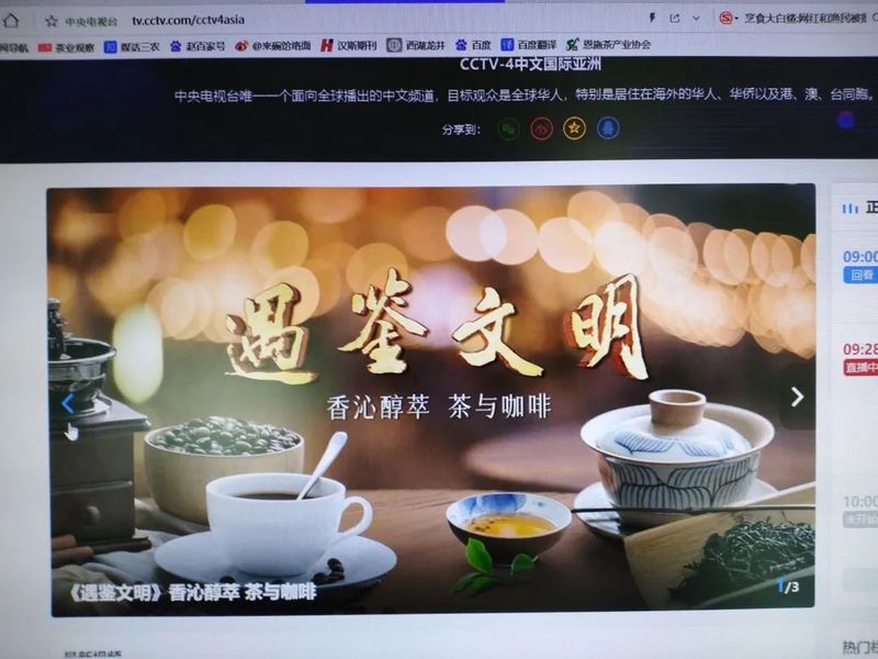 有关于“德国陆羽”走进央视的最新消息