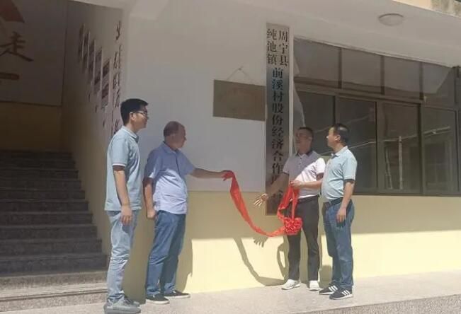 有关于周宁县举办2022年全国科普日系列活动暨“千会帮千村”茶叶培训会的资讯