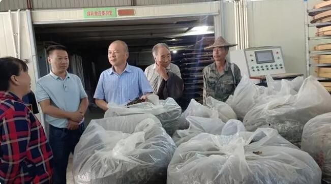 有关于周宁县举办2022年全国科普日系列活动暨“千会帮千村”茶叶培训会的资讯(3)