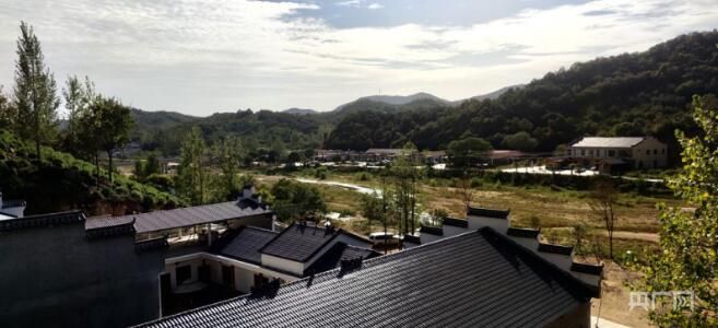 关于河南信阳：万亩茶园香千里的相关内容(4)