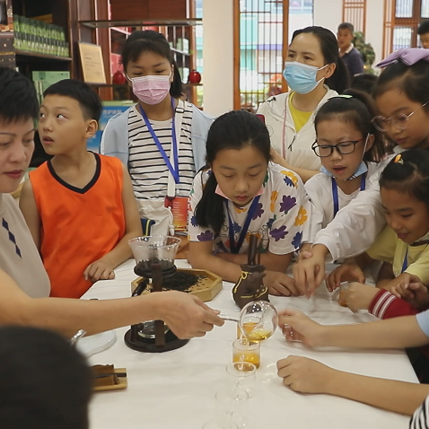 关于“寻茶探秘” 小学生茶文化研学活动走进九江茶市的新闻(12)