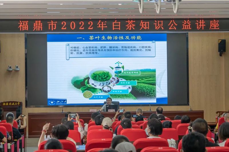 关于这场讲座深度讲解福鼎白茶的成分功效及可持续创新发展！的消息(5)