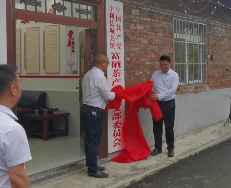 有关于城关镇举行富硒茶产业链党支部揭牌仪式的信息(7)