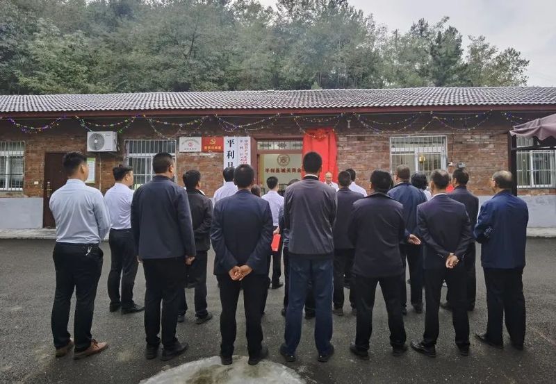 有关于城关镇举行富硒茶产业链党支部揭牌仪式的信息(1)