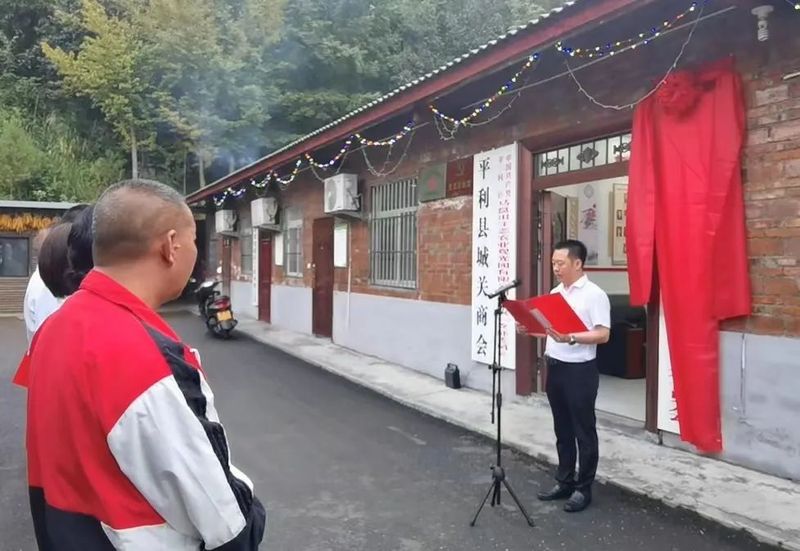有关于城关镇举行富硒茶产业链党支部揭牌仪式的信息