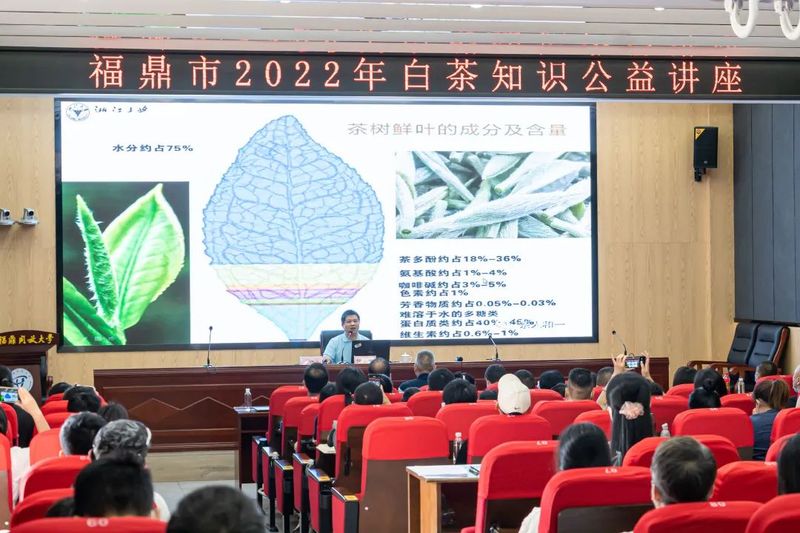 有关于福鼎白茶高质量发展知识讲座深度讲解福鼎白茶的成分功效及可持续创新发展！的信息(3)