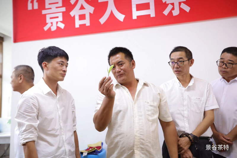 关于景谷召开景谷大白茶品质提升和景谷大白茶标样制样座谈会的信息(5)