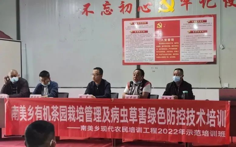 关于南美乡：有机茶园认证引领全乡茶产业绿色健康发展的相关内容(1)