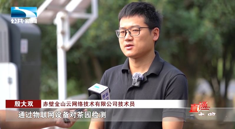 有关于打造青砖茶标准体系 推动茶产业高质量发展的消息(1)
